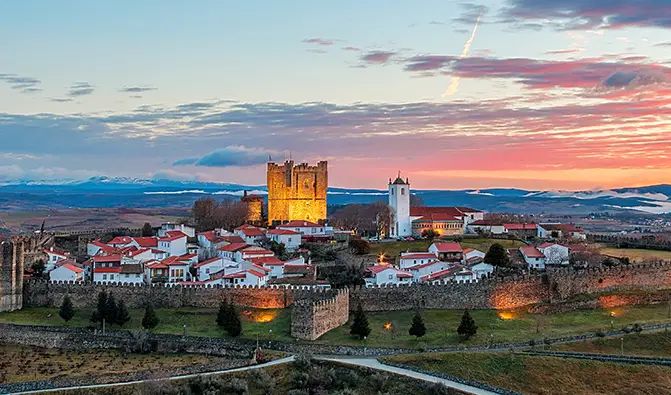 Teste de Intolerância Alimentar - Bragança