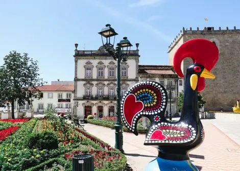 Teste de intolerância alimentar Barcelos