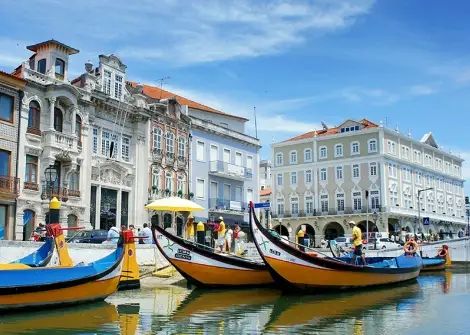 Teste de Intolerância Alimentar - Aveiro