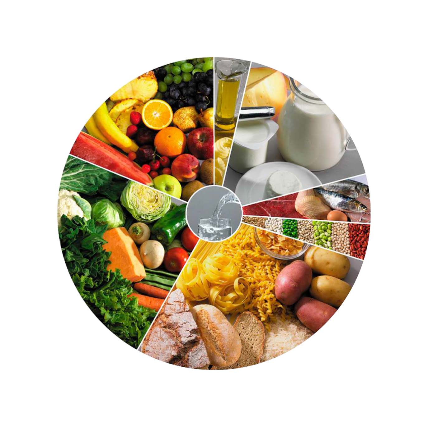 Wellnutri - A Roda dos Alimentos